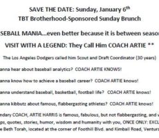 Baseball Mania Save the Date
