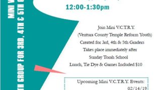 Mini VCTRY Events