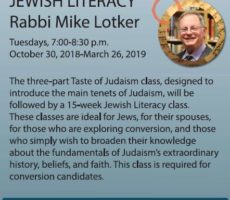 Taste-of-Judaism-2018-poster-mini