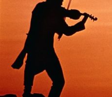 Fiddler image