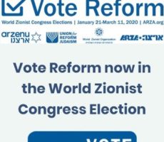 vote reform badge