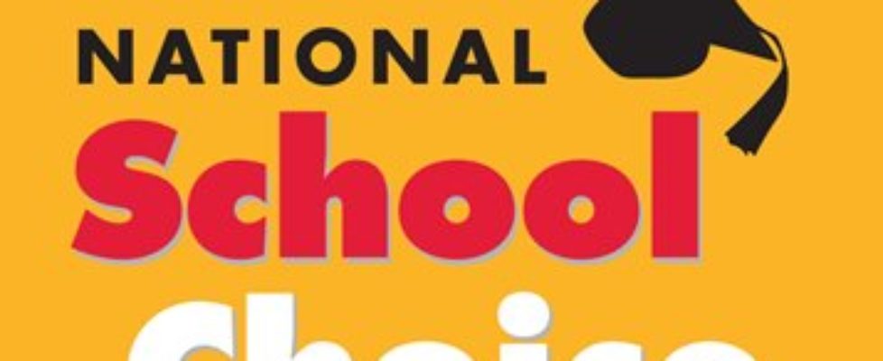 Celebrating-NSCW-2020-tease